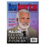 New American - 24 Issues Product Image