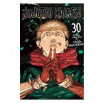 Jujutsu Kaisen, Vol. 30 Product Image
