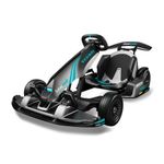 Go Kart Pro 2 Product Image