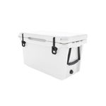 Wind River Series 45qt Hard Cooler, White Product Image