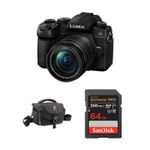 Panasonic Lumix G95 Hybrid Mirrorless Camera with