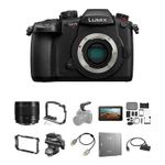 Panasonic Lumix GH5 II Mirrorless Camera with 9mm