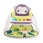 Kick & Play Deluxe Sit-Me-Up Purple Monkey Product Image