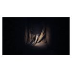 REANIMAL Collector's Edition - PlayStation 5 Product Image