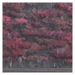 Sleep Token: Even in Arcadia [LP] - VINYL Product Image