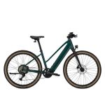 FX+ 1 Electric Bike in Juniper/S Product Image