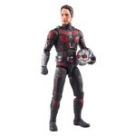 Marvel - Legends Series Ant-Man Product Image