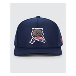Waggle Kodiak Hat Blue Product Image