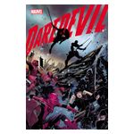 Daredevil - 12 Issues Product Image