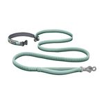 Roamer Bungee Dog Leash River Rock Green - Size 5.5ft-7ft Product Image