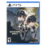 Wuthering Waves PS5 Deluxe Collection - PlayStation 5 Product Image