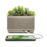 PowerPlant Portable Bluetooth Plant Charging Station Product Image
