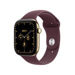 Apple Watch Series 12 GPS + Cellular 46mm Radiant Gold Titanium Case with Burgundy Sport Band - M/L Product Image