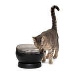 HydroSphere 60oz Cordless Fountain, Black Product Image
