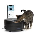 FreshFeed Refrigerated Pet Feeder, Black Product Image