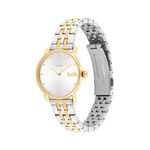 Ladies Elliot Two-Tone Stainless Steel Watch Silver Dial Product Image