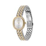 Ladies Harlow Two-Tone Stainless Steel Watch Silver Dial Product Image