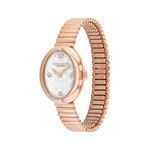 Ladies Sammy Rose Gold-Tone Stainless Steel Stretch Watch White Dial Product Image