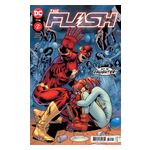 The Flash - 12 Issues Product Image