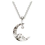 Moonwave Necklace Silver Product Image