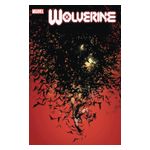 Wolverine - 12 Issues Product Image
