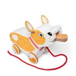 Feed Walk and Poo Pup Ages 18+ Months Product Image