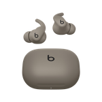 Beats Powerbeats Fit Gravel Gray Product Image