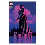 Punisher - 12 Issues Product Image