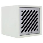 Tivoli Boutique Bluetooth Speaker (White & Silver) Product Image