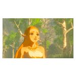 The Legend of Zelda: Breath of the Wild and The Legend of Zelda: Breath of the Wild Expansion Pass Bundle - Nintendo Switch, Nintendo Switch Lite [Digital] Product Image