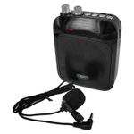 Technical Pro WASP200L Rechargeable Portable Speak Product Image