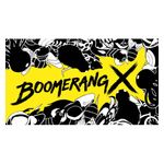 Boomerang X Standard Edition - Nintendo Switch – OLED Model, Nintendo Switch, Nintendo Switch Lite [Digital] Product Image