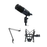 Heil Sound PR 30 Dynamic Supercardioid Microphone Product Image