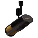 Audix PDX720 Dynamic Vocal Studio Microphone (Sign Product Image