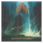Conjureth: The Parasitic Chambers [LP] [VINYL] Product Image