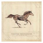 Turnpike Troubadours: A Long Way from Your Heart [LP] - VINYL Product Image