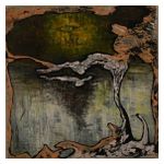 Julian Lynch: Terra [LP] - VINYL Product Image
