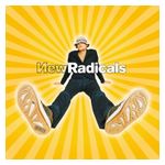 The New Radicals: Maybe You've Been Brainwashed Too [LP] - VINYL Product Image