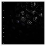 Crumb: Ice Melt [LP] - VINYL Product Image