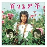 Aselefech Ashine: Beauties [LP] - VINYL Product Image