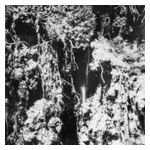 Den Sorte Død: Den Sorte Død [LP] - VINYL Product Image