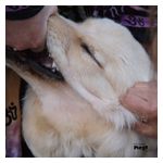 Christian Fennesz: It's Hard for Me to Say I'm Sorry [LP] [LP] - VINYL Product Image