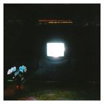Emeralds: Does It Look Like I'm Here? [LP] - VINYL Product Image