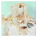 Pale Saints: In Ribbons [30th Anniversary Reissue] [LP] - VINYL Product Image