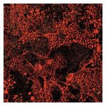 King Gizzard & the Lizard Wizard: Murder of the Universe [Live at Red Rocks 2022] [LP] - VINYL Product Image