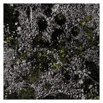 King Gizzard & the Lizard Wizard: Infest the Rats Nest [Live at Red Rocks 2022] [LP] - VINYL Product Image
