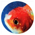 Vince Staples: Big Fish Theory [Picture Disc] Product Image