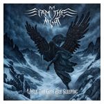 I Am the Night: While the Gods Are Sleeping [LP] - VINYL Product Image