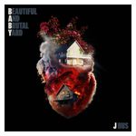J Hus: Beautiful & Brutal Yard [LP] - VINYL Product Image