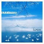 Grandaddy: Sumday: Twunny [LP] - VINYL Product Image